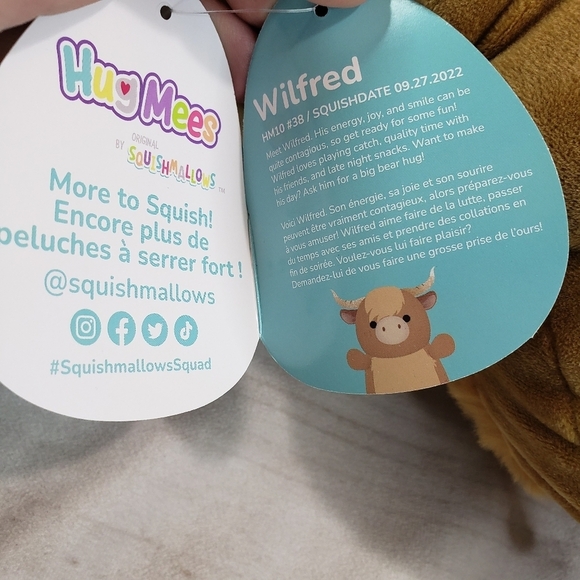 Squishmallows Wilfred Longhorn Cow HugMees Plush Stuffed Toy Hug Me 10 Inch 2022 - Picture 8 of 12